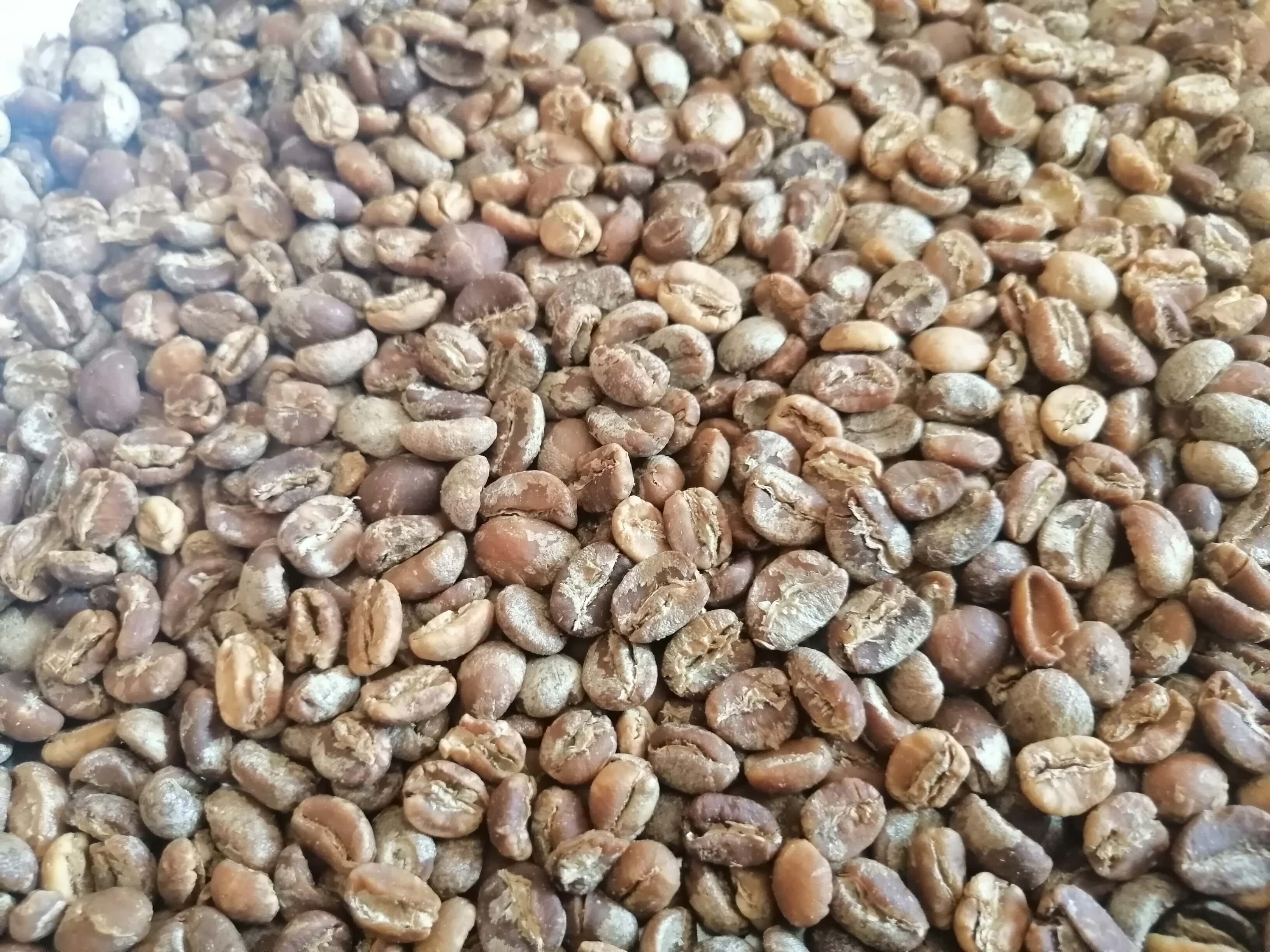 Coffee Beans 2