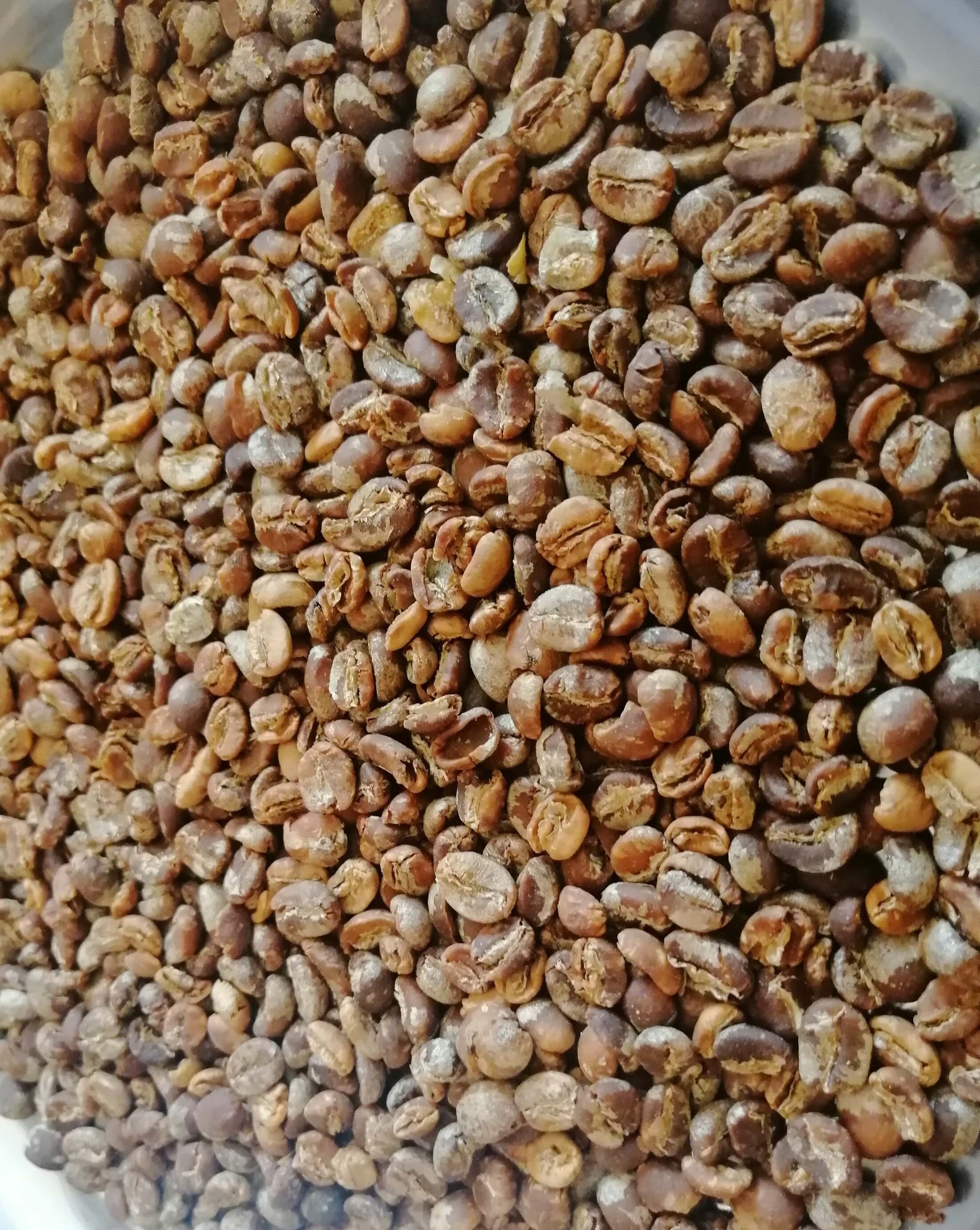 Coffee Beans 3
