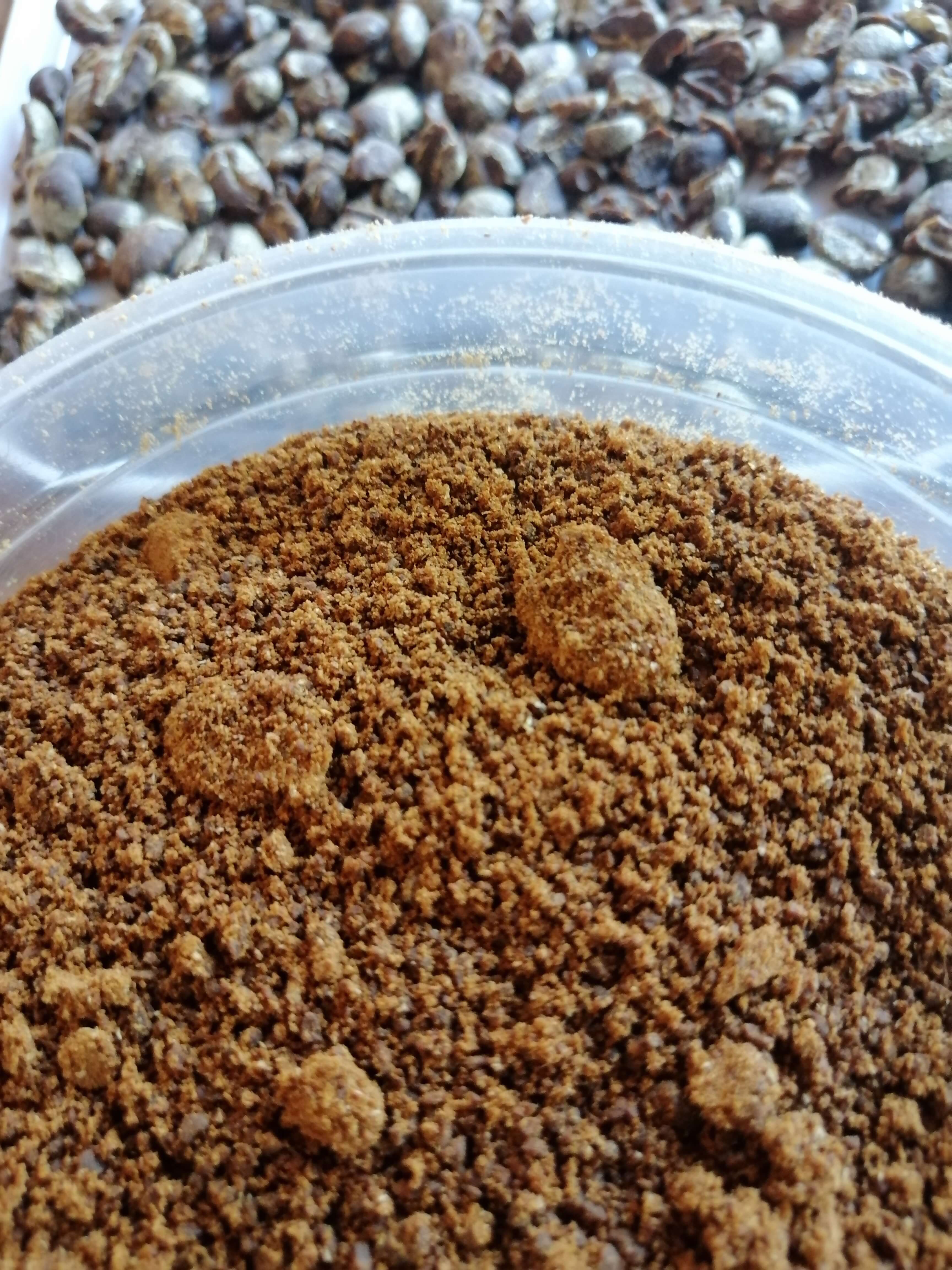 Dark roast coffee Beans 1