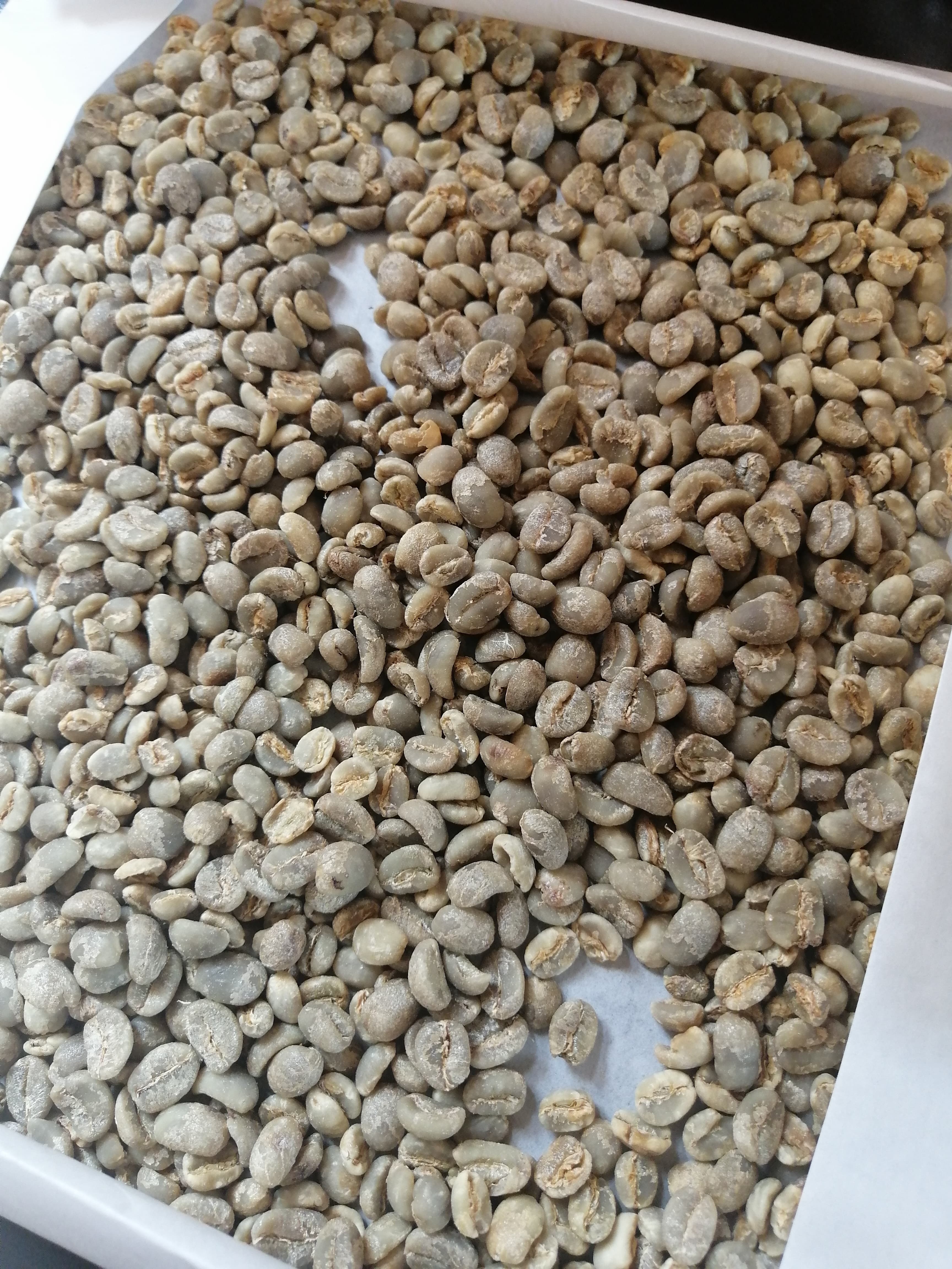 Green coffee beans