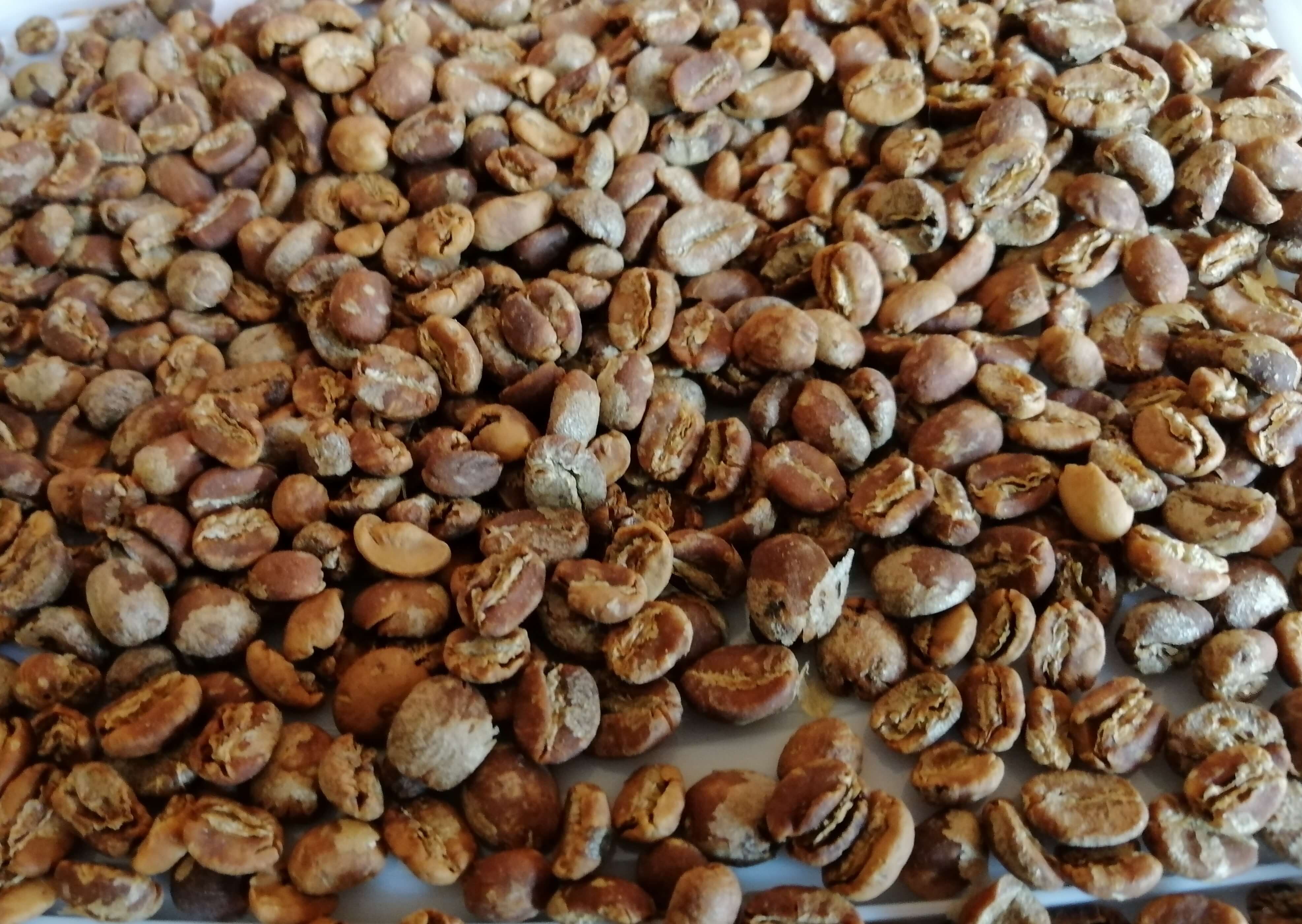 Medium roast coffee Beans 2